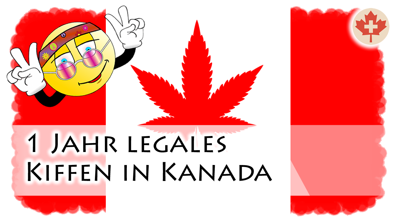 1 Jahr Cannabis-Legalisierung in Kanada - Ob wir kiffen auch erlauben sollten?
